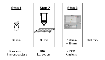 Genomic Research Laboratory Geneva Qmrsa Detection Of Mrsa